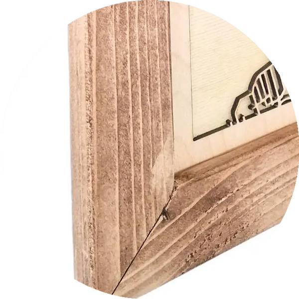 Palisander